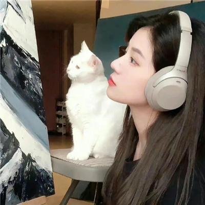 小丑镇